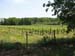 26-vineyard