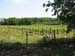 Les-vignes